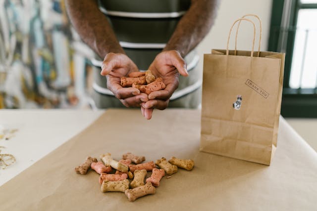How I Started a Dog Treat Business From Home